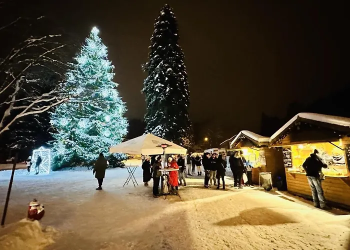 Appartement Spindl 101cka Dalibor Ii